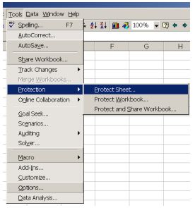 Excel Password Protection